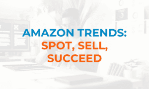 Amazon Trends: Spot, Sell, Succeed